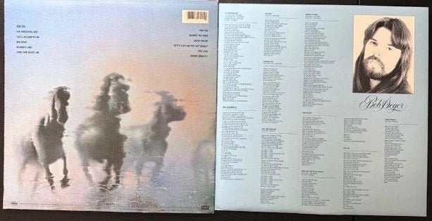 Bob Seger & The Silver Bullet Band – Against The Wind (Used) - Maple City Music