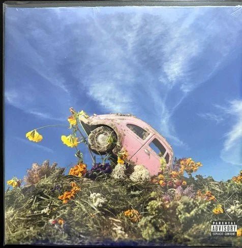 Sir Sly – The Rise & Fall Of Loverboy (2LP, 2021, Cherrytree B0031703-01) - Maple City Music