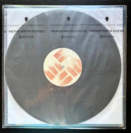 Fiat Lux - Ruin... (Used) - Maple City Music