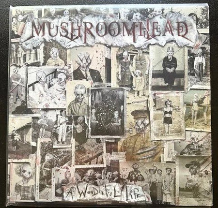 Mushroomhead – A Wonderful Life (Used) - Maple City Music