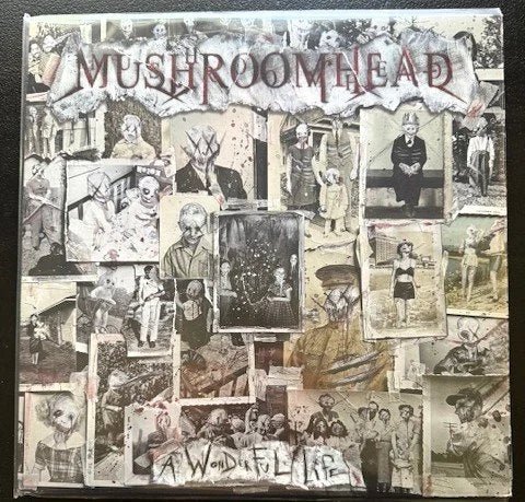 Mushroomhead – A Wonderful Life (Used) - Maple City Music