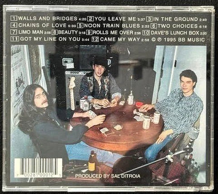 The Bailey Brothers – Self Titled (Used) - Maple City Music