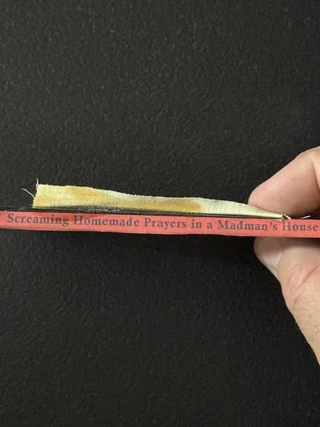Screaming Homemade Prayers in a Madman’s House — Screaming Homemade Prayers in a Madman’s House (New) - Maple City Music