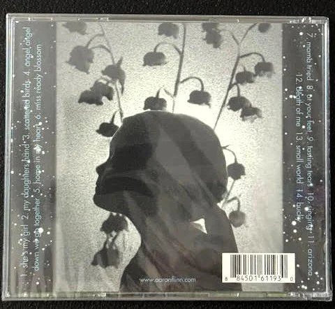 Aaron Flinn — Most Awkward Bridges and the Search for Home (CD, Album, Independent) - Maple City Music