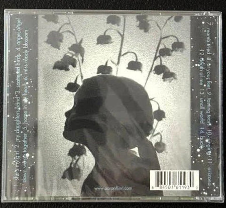 Aaron Flinn — Most Awkward Bridges and the Search for Home (CD, Album, Independent) - Maple City Music