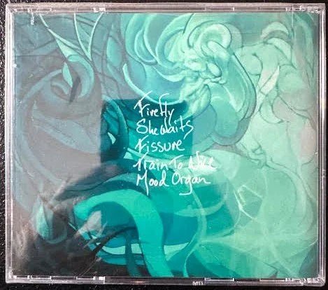The Program – Analogical (New) - Maple City Music