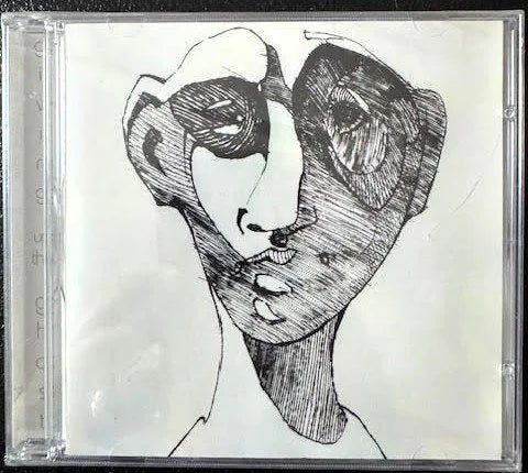 Aaron Flinn’s Salad Days – Giving Up The Ghost (CD, Album, Early 2000s, Sun God Records sgr005) - Maple City Music