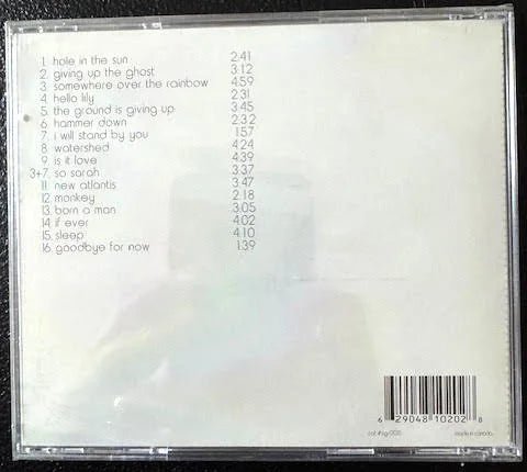 Aaron Flinn’s Salad Days – Giving Up The Ghost (CD, Album, Early 2000s, Sun God Records sgr005) - Maple City Music