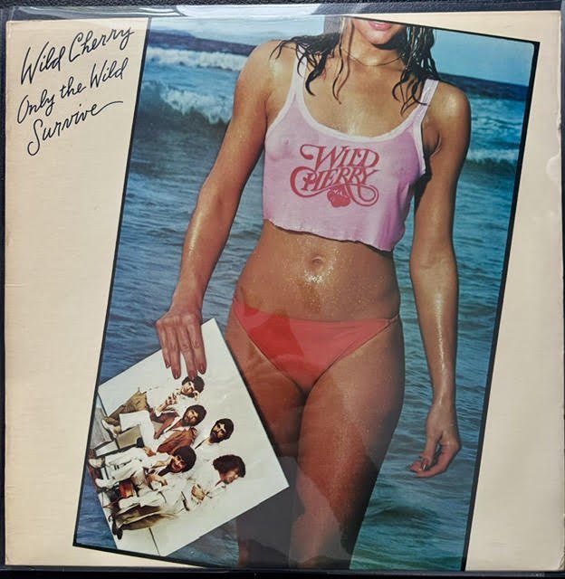 Wild Cherry – Only The Wild Survive (Vinyl, 1979, Epic JF 35760) - Maple City Music