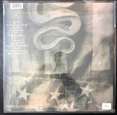 Pantera – The Great Southern Trendkill (White & Sandblasted Orange Marbled LP, 2021, RCV1 61908) - Maple City Music