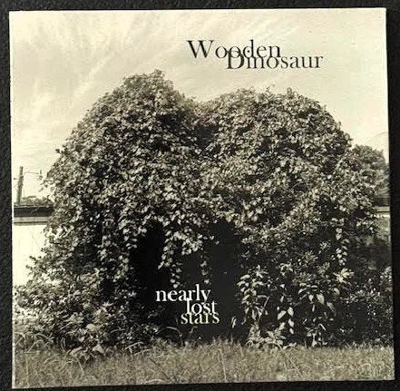 Wooden Dinosaur — Nearly Lost Stars - Maple City Music
