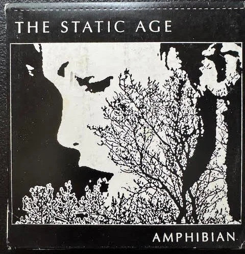 Amphibian – The Static Age (CD, Early 2000s, Independent) - Maple City Music