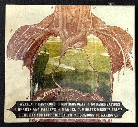 Split Tongue Crow — Split Tongue Crow (New) - Maple City Music