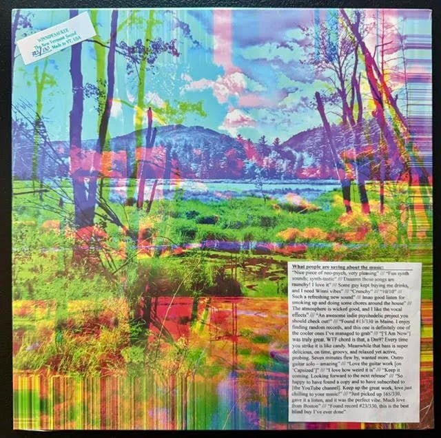 Winnipesaukee – The New Vermont Sound (LP, Splatter Vinyl, 2023, Self-Released) - Maple City Music