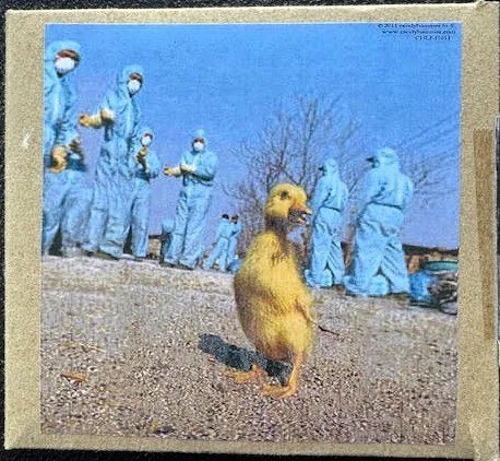 Andre W – The Sophomoric (New)Andre W – The Sophomoric (CD-R, Album, Handmade Packaging, 2007, Independent / Self-Released) - Maple City Music