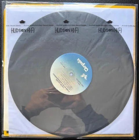 Ian Hunter – You're Never Alone With A Schizophrenic (LP, Album, Stereo, Santa Maria Pressing, 1979, Chrysalis CHR 1214) - Maple City Music